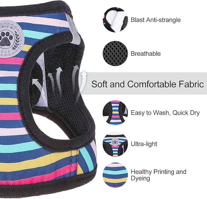 BEAUTYZOO Dog Harness and Leash Set for Small Dogs,No Pull Step-in Harness for Puppy XS S Sized Dogs and Cats,Air Mesh Adjustable Breathable Soft No Choke Escape Proof Vest Harnesses,Striped Teal XXS