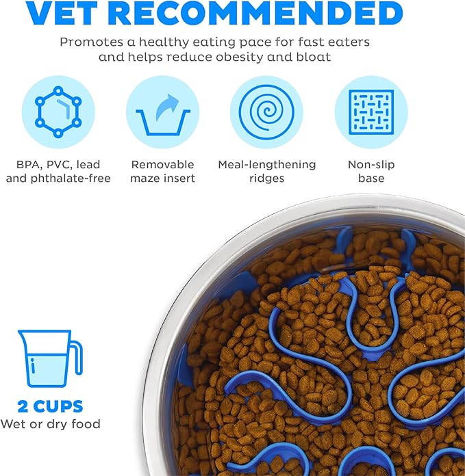 Outward Hound Stainless Steel Slow Feeder Bowl, Plastic Puzzle Maze for Fast Eaters, Small to Medium Dogs, Helps Prevent Bloat & Aid Digestion, Holds 2 Cups Wet or Dry Food, Non-Slip, Made Without BPA
