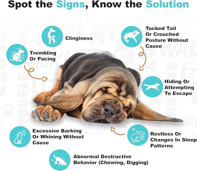 Doggie Dailies Calming Chews, Melatonin & Chamomile for Stress Relief, Relaxation & Anxiety (Peanut Butter, 225 Soft Chews)