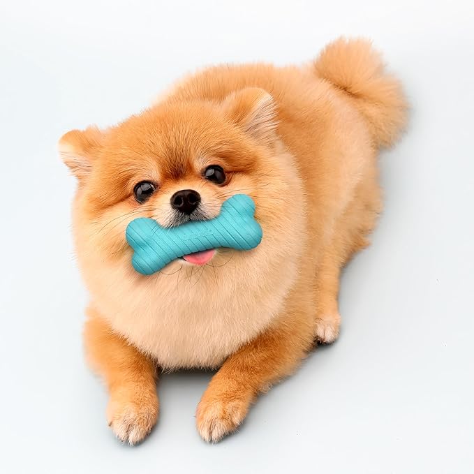 Playology Dog Toys | Dual Layer Bone Durable Chew Toy Bone for Dogs (Value 3-Pack) | Small Peanut Butter Scented Toy - Easy to Clean and Made from Non Toxic Materials