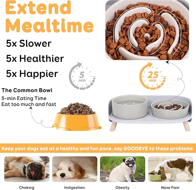 Elevated Slow Feeder Dog Bowls - Ceramic Food and Water Bowl Set with Stand - Raised Pet Dishes for Small and Medium Sized Dogs