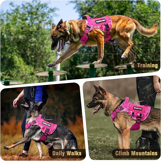WINSEE Tactical Dog Harness for Large Dog, Heavy Duty Service Dog MOLLE Vest with 10 Pet Patches, No Pull Military Working Vest for Training Hunting Walking