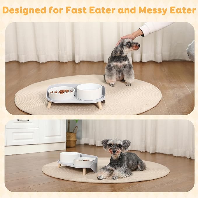 Elevated Slow Feeder Dog Bowls - Ceramic Food and Water Bowl Set with Stand - Raised Pet Dishes for Small and Medium Sized Dogs