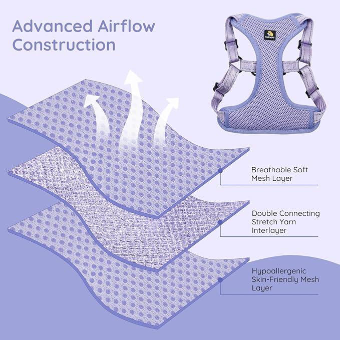 BELLA & PAL Adjustable Step-in Dog Harness, Puppy No-Pull Vest with Leash Set for XS/Small & Medium Dog, Breathable All-Weather Mesh, Reflective Strip, Secure Hook & Loop, Buckle Closure