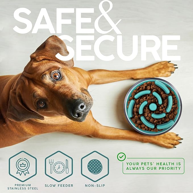64 OZ Dog Bowl with Slow Feeder Insert Stainless Steel Pet Water Bowl for Medium & Large Breed Non Slip Rubber Base & Plastic Puzzle Feeder - Teal