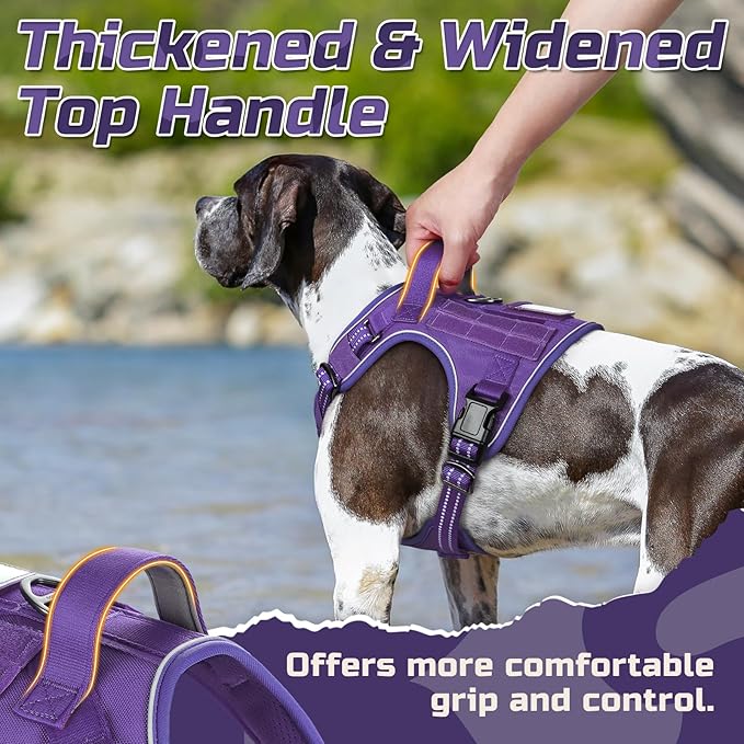 rabbitgoo Tactical Dog Harness for Large Dogs, No Pull Military Service Vest with Handle & Molle, Easy Control for Training Walking, Adjustable Reflective Straps, Purple, L