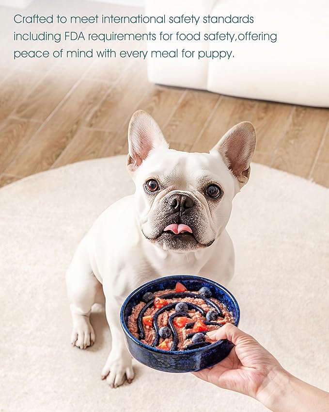 vancasso Slow Feeder Dog Bowl, 0.6 Cup Ceramic Slow Feeding Food Dish for Small Breed, Puzzle Dog Food Bowl for Fast Eater, Blue