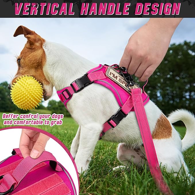 Tactical Dog Harness for Small Dogs, Military Puppy Vest Harness and Leash for Outdoor Training, Adjustable Service Dog Vest with Handle，3 Patches