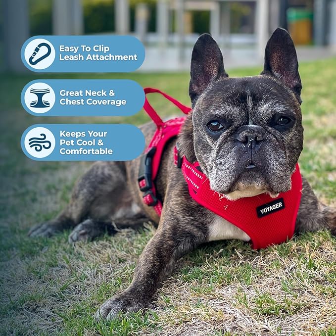 Best Pet Supplies Voyager Mesh Dog Breathable Harness Reflective Stitching, All Weather Adjustable for Walking Training, or Running - Heavy Duty & Durable, Harness Leash Set (Red), XS
