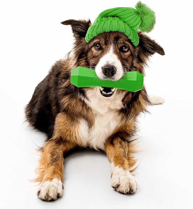 Playology Dog Toys | Durable Squeaky Chew Stick for Dogs | Jumbo Mom's Turkey Scented Toy - Easy to Clean and Made from Non Toxic Materials