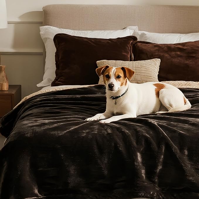 gogobunny Waterproof Bed Blanket, Reversible Sherpa Fleece Throw Blanket for Dog Puppy Cat, Furniture Cover Protects Bed Couch Sofa from Liquid Pee and Pet Fur (Dark Brown, 50x60 inches)