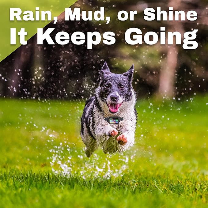 Customizable GPS Dog Collar Fence System, Waterproof LCD Collar & – Wireless Dog Fence, Wireless Pet Collar & App-Controlled Dog Training Collar