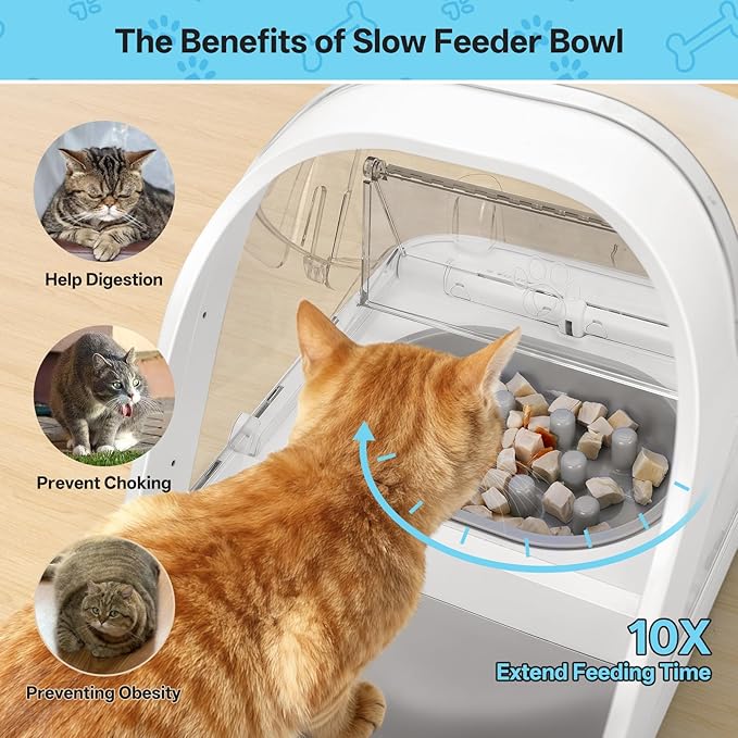Cat Slow Feeder Bowls and Mat Set for Automatic Pet Care Feeder, YOIHABV 1 Slow Feed Single Bowl, 1 Puzzle Feeding Split Bowl, 1 Mat, Promote Healthy Eating, Non-Slip and BPA-Free, Easy to Clean