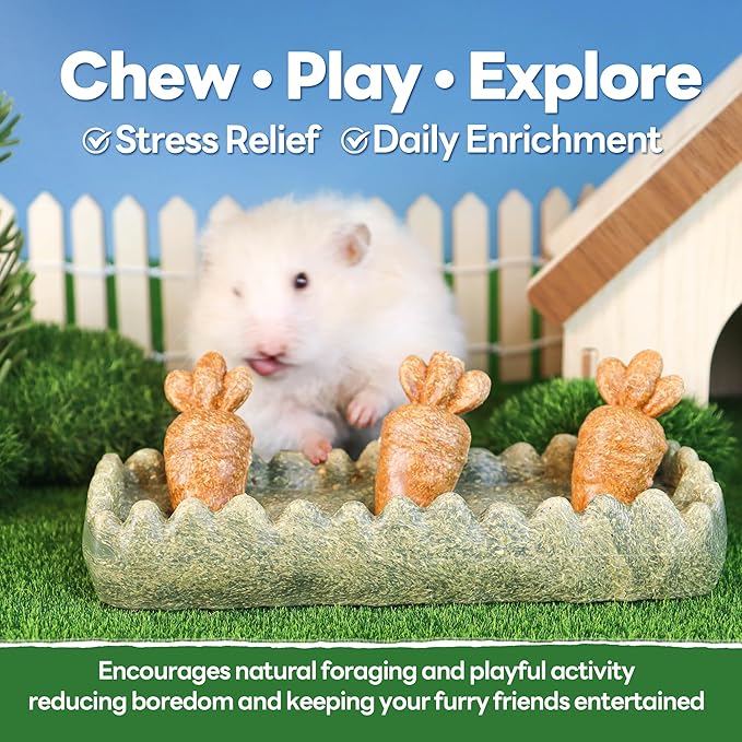 TEEWY Guinea Pig Chew Toys, Prevent Teeth Overgrowth, Natural Timothy Grass & Vegetables, Hamster Chew Toys, Guinea Pig Toys, Chinchilla Toys, 4PCS, Grass Patch & Carrots