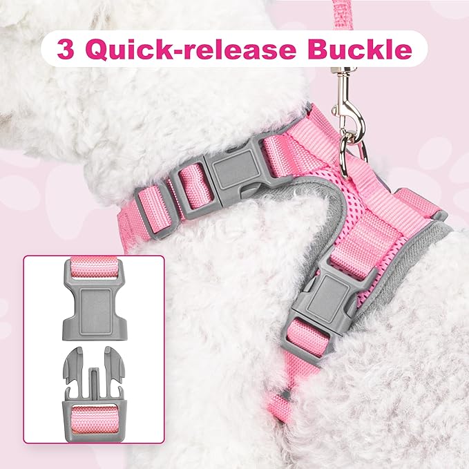 Small Dog Harness and Leash Set, No Pull Adjustable Pet Harness for Small Dogs, Breathable Mesh Rflective Dog Vest Harness (Pink, S)
