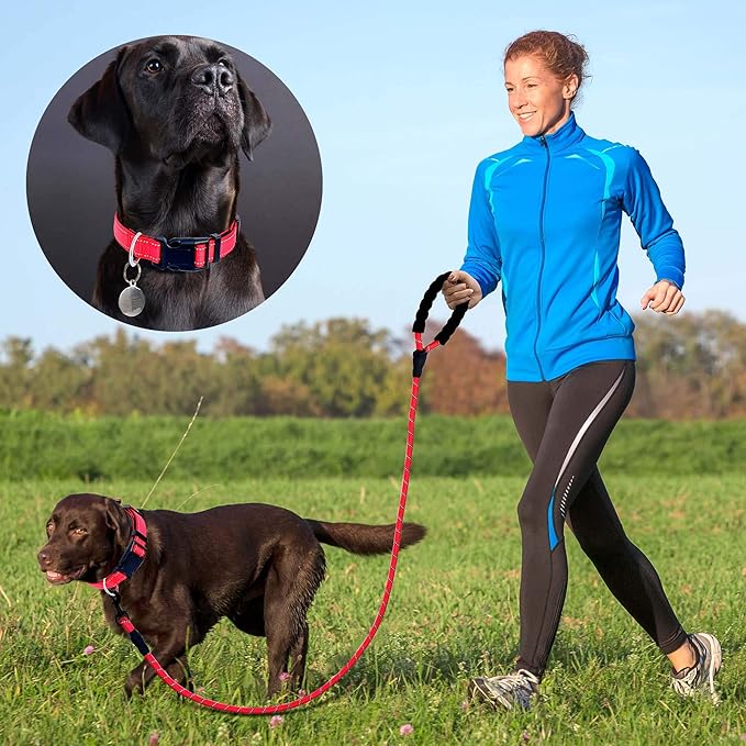 Reflective Dog Collar Padded with Soft Neoprene Breathable Adjustable Nylon Dog Collars for Small Medium Large Dogs (Large (Pack of 1), Red Collar+Leash)