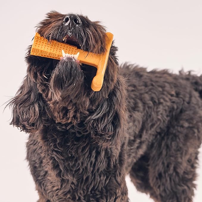 SPOT Bam-Bones Plus T Bone - Bamboo Fiber & Nylon, Durable Long Lasting Dog Chew for Aggressive Chewers – Toy for Dogs & Puppies Under 90lbs, Non-Splintering, 7in, Allergen Free Peanut Butter Flavor