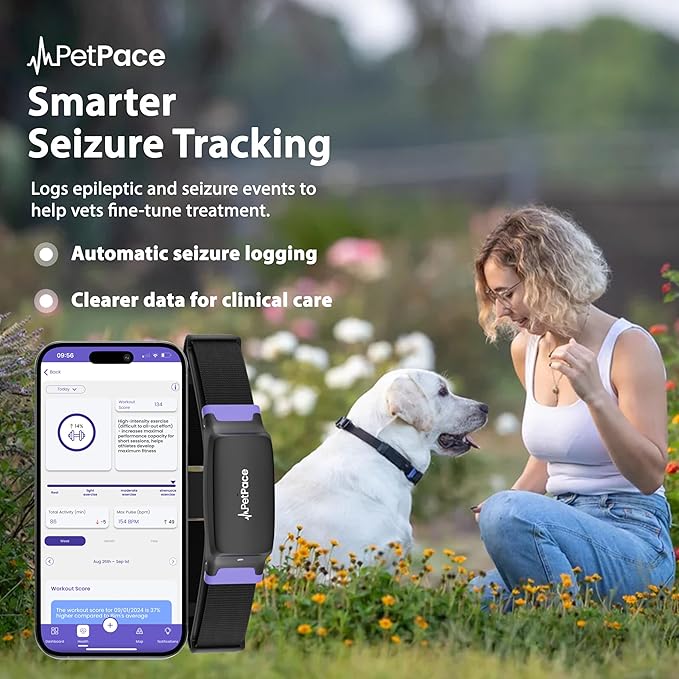 NEW Dog Health Monitor V3.0 by PetPace – AI Smart Collar with 24/7 Vital Signs, Pain & GPS Tracking, Telehealth AskaVet & Share With Your Vet, Smartwatch Sync – Subscription Required (Small)