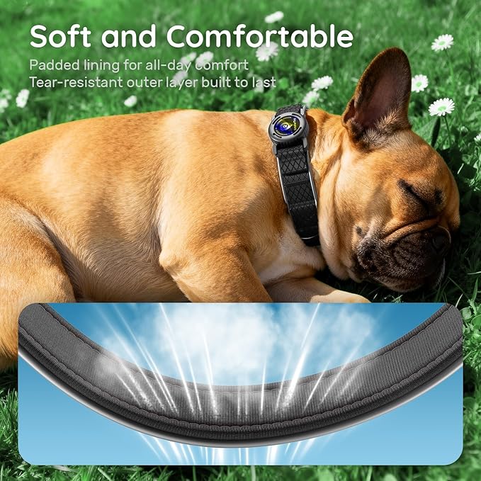 AirTag Dog Collar with QR Code ID & Waterproof Holder - Reflective, Durable Padded Oxford Collar Compatible with Apple AirTags for Small Puppy Dogs (Black, S)