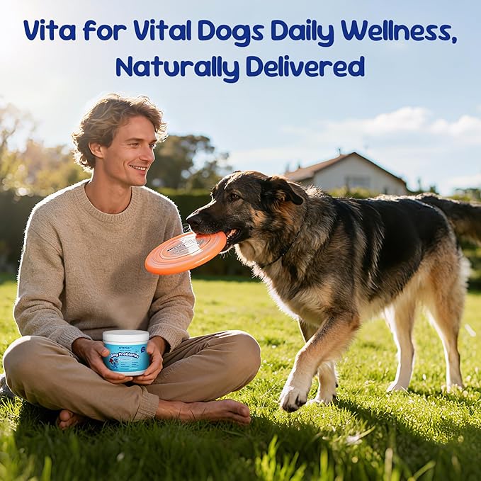 Premium Probiotics for Dogs - All-in-One Daily Supplement | Supports Joint, Heart, Skin, Digestion, Immune System & Liver Health (120 Chews Pumpkin)