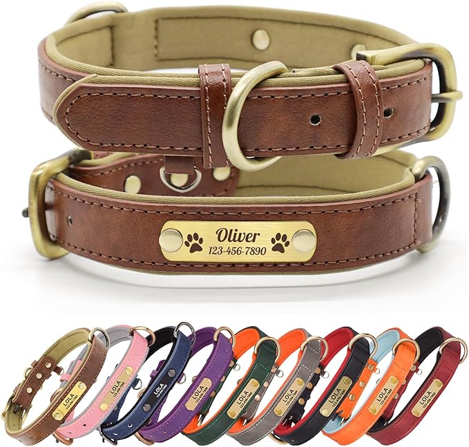 Personalized PU Leather Dog Collar with Custom Bronze Nameplate, Multi-Color, Soft Neoprene, Vintage Bronze Accessories, Optional Leash (Brown, XL (18-22 Inches))