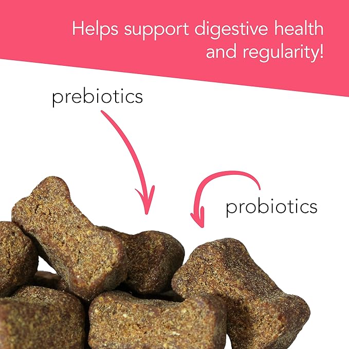 VetriScience Gut Health Chews, Probiotic Everyday Digestive Supplement for Dogs, Pet Probiotics for Digestion Support, Gas and Diarrhea, Immune Support, 1 Billion CFU Per Chew, Duck, 45 Count