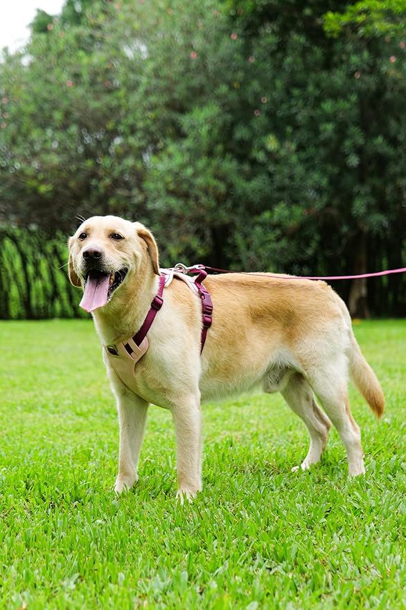 No Pull Dog Harness Leash and Collar Set, Soft Adjustable Dogs Vest Reflective and Comfortable Handle Pink Small