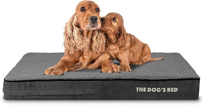 The Dog’s Bed Orthopedic Memory Foam Dog Bed, Large Grey Plush, Pain Relief for Arthritis, Hip & Elbow Dysplasia, Post Surgery, Lameness, Supportive, Waterproof Washable Cover, Veterinary Approved