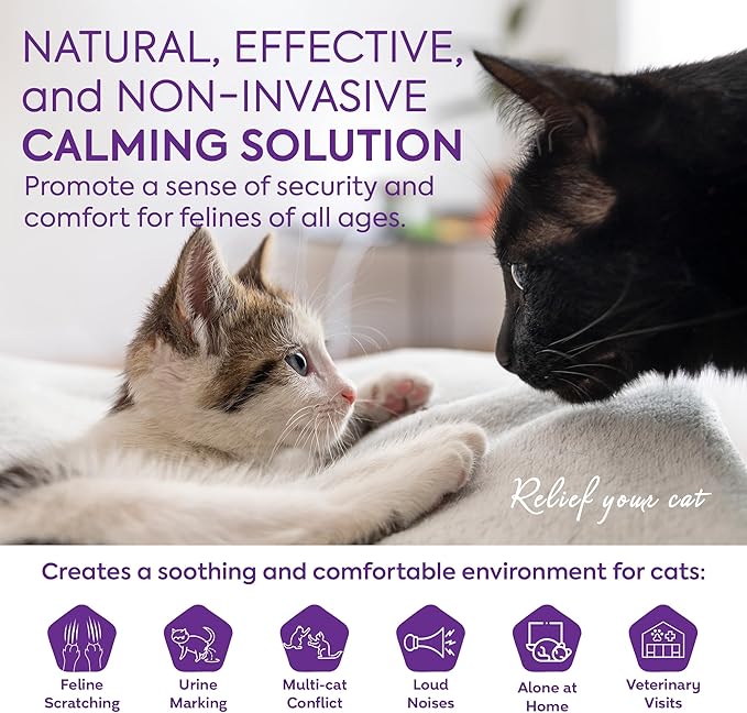 TopSum Cat Calming Diffuser Refill: 6 Refills Top Value Pack Cat Pheromones Calming Diffuser Refill – Helps Reduce Scratching Peeing Meowing Hiding Urine Marking Aggression (6 Refills)