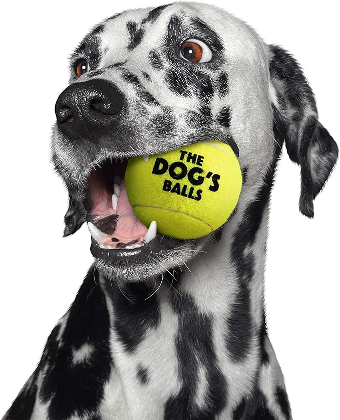 The Big Dog's Balls, Dog Tennis Balls, Yellow 3-Pack, Strong Toy for Agility Training, Puppy Training, Play, Exercise & Fetch 3 Inches Diameter