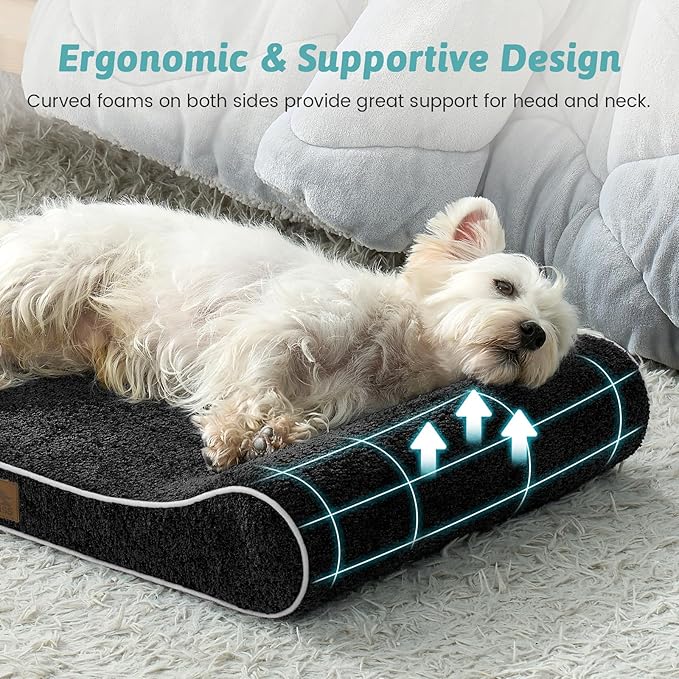 Orthopedic Dog Bed for Medium Dogs up to 65 lbs - Removable Washable Cover with Waterproof Lining & Non-Skid Bottom, Cotton-Polyester Blend Boat-Shaped Lounger Mattress, M(36x24x5.5in)/Black