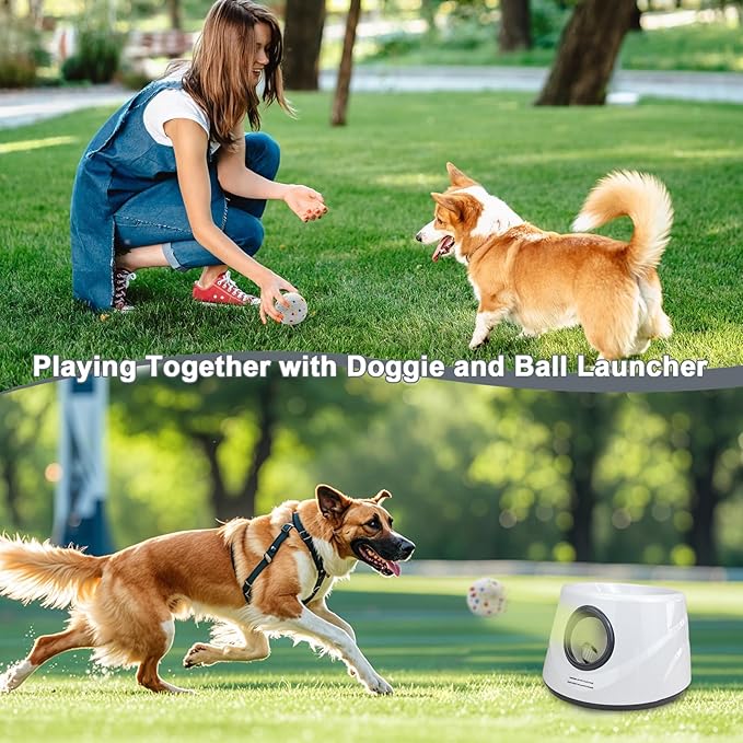 Dog Toy Balls 2.2 Inch, Indestructible Dogs Balls 6 Pack for Aggressive Chewers, Durable Interactive Toys for Small & Medium Puppy, Perfect for 2.2 Inch Automatic Dog Ball Launcher (ETPU Material)