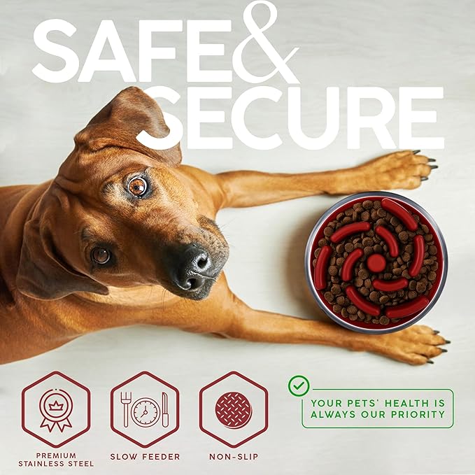 32 Oz Dog Bowl with Slow Feeder Insert Stainless Steel Pet Water Bowl for Medium & Large Breed Non Slip Rubber Base & Plastic Puzzle Feeder - Red