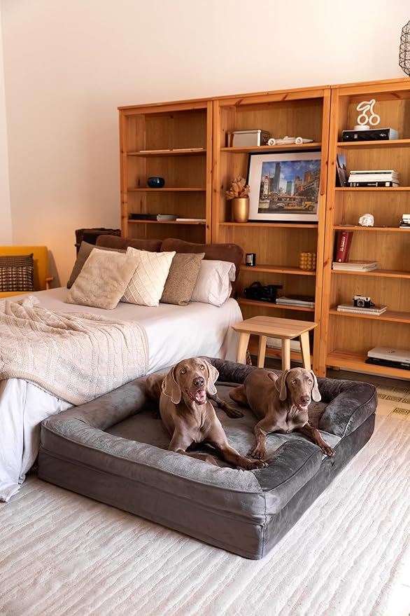 NOAH & PAW Giant Dog Bed XXL, 55x45x11 Inch, Orthopedic Dog Beds, Eggshell Memory Foam Infused with Cooling Gel, Inner Cover, Waterproof, Machine Washable (Velvet Sofa Collection)