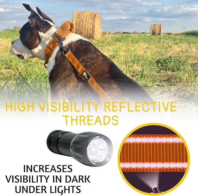 ADITYNA Tactical Bungee Dog Leash 6ft-7.5ft - Shock Absorbing Lead with 2 Padded Handles, Metal Clasp, Car Seatbelt - Heavy Duty No Pull for Medium, Large & XL Breeds