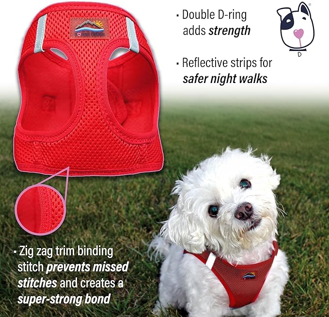 Doggie Design Dog Harness - No Choke Dog Harness, Dog Vest, Mesh Polyester, Pet Harness, Simple Step in and Go Design, Harness for Dog - Red, XS