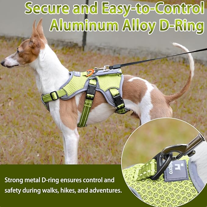 BELPRO Multi-Use Support Dog Harness, Escape Proof No Pull Reflective Adjustable Vest with Durable Handle, Dog Walking Harness for Big/Active Dogs (Green, S)