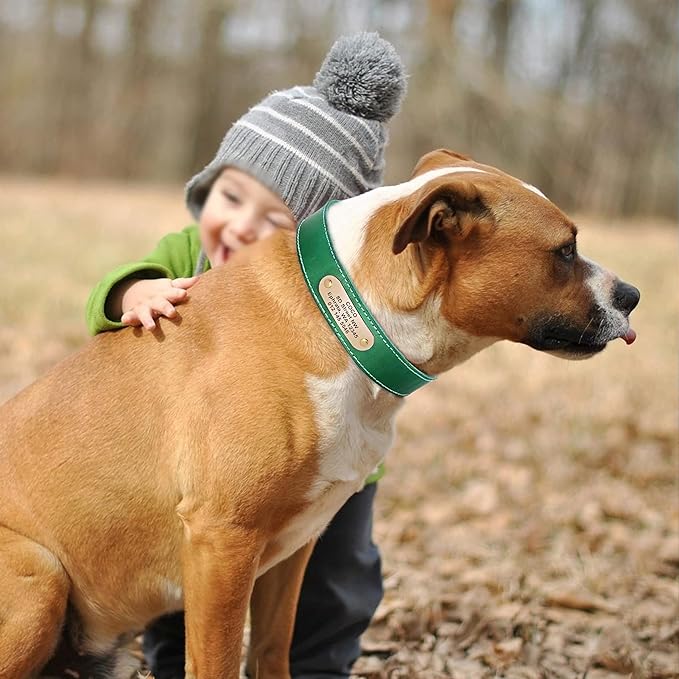 Didog Genuine Leather Dog Collars with Engraved Nameplate, Personalized Soft Leather Dog Collar with Custom ID Tag, Brown/Green/Red for Medium Large Dogs (XL,Green)