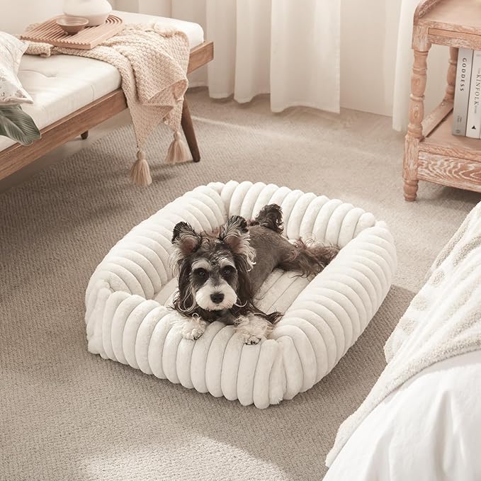 FURTIME Dog Bed for Small Medium Dog, Washable Orthopedic Pet Bed with Removable Cover, Rectangle Soft Calming Sleeping Puppy Bed Durable Pet Cuddler with Anti-Slip Bottom, Cream, M (25"x21"x7")