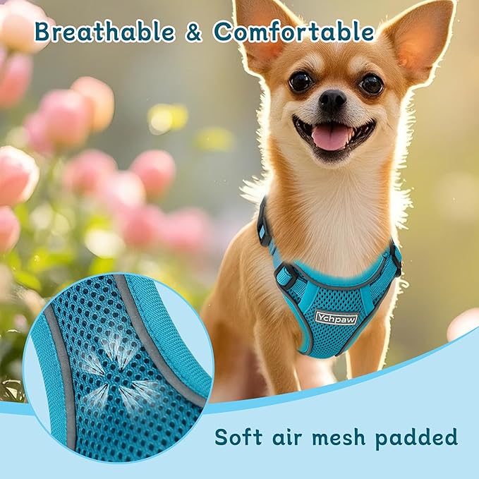 Small Dog Harness and Leash Set, Reflective Soft Breathable Mesh Vest, 3 Buckles, Adjustable Neck and Chest,Step in Dog Harness for Walking, Running, Training, Turquoise, M