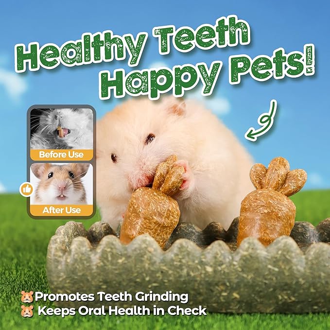 TEEWY Guinea Pig Chew Toys, Prevent Teeth Overgrowth, Natural Timothy Grass & Vegetables, Hamster Chew Toys, Guinea Pig Toys, Chinchilla Toys, 4PCS, Grass Patch & Carrots