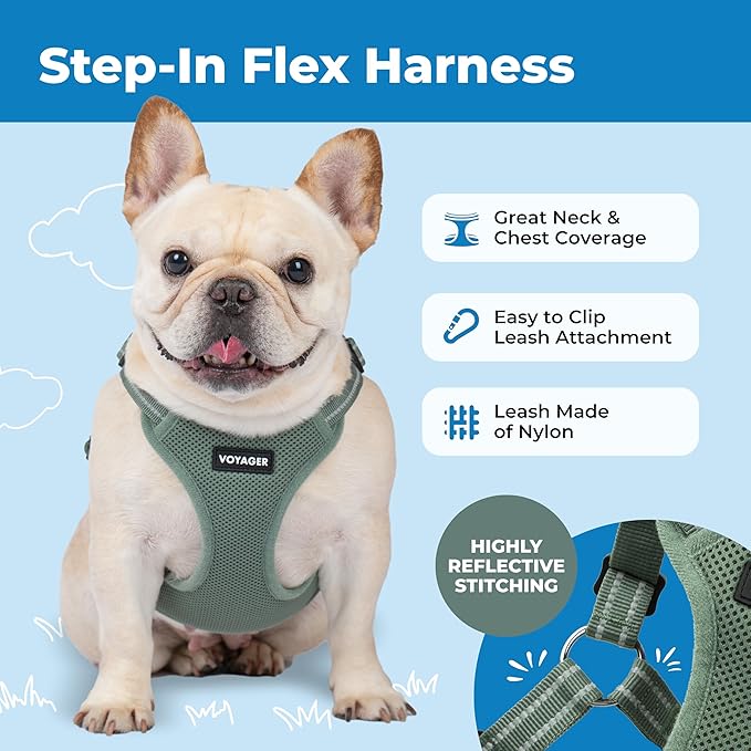 Best Pet Supplies Voyager Mesh Dog Breathable Harness Reflective Stitching, All Weather Adjustable for Walking Training, or Running - Heavy Duty & Durable, Moss Green, L