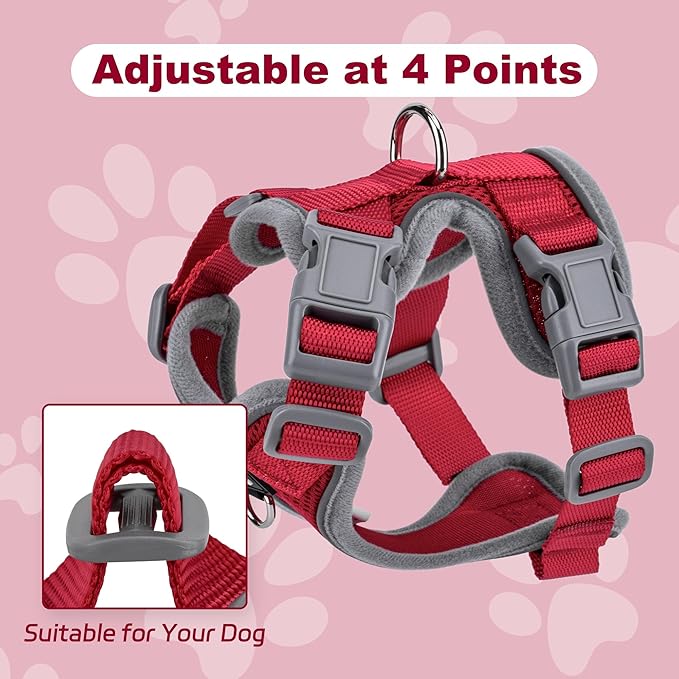 Small Dog Harness and Leash Set, No Pull Adjustable Pet Harness for Small Dogs, Breathable Mesh Rflective Dog Vest Harness (Red, M)