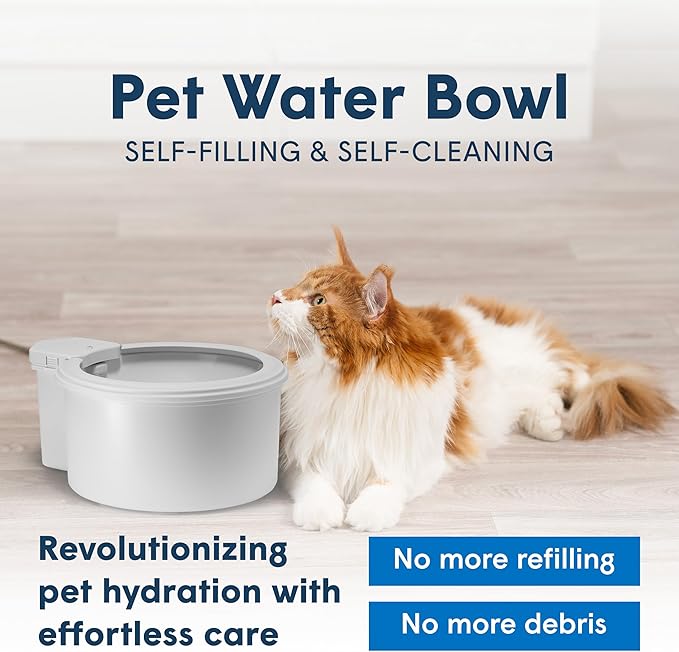 Always Full® 9" Pet Water Bowl and Bottle Pump Bundle, Self-Refilling, Clean Filtered Water, App-Enabled Hydration Monitoring, Easy Upgrade to Wall Unit, Cat and Dog Water Bowls