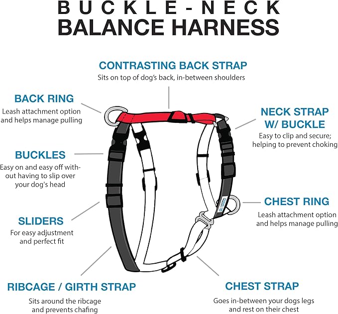 Blue-9 Buckle-Neck Balance Harness, Fully Customizable Fit No-Pull Harness, Ideal for Dog Training and Obedience, Made in The USA, Red, Medium
