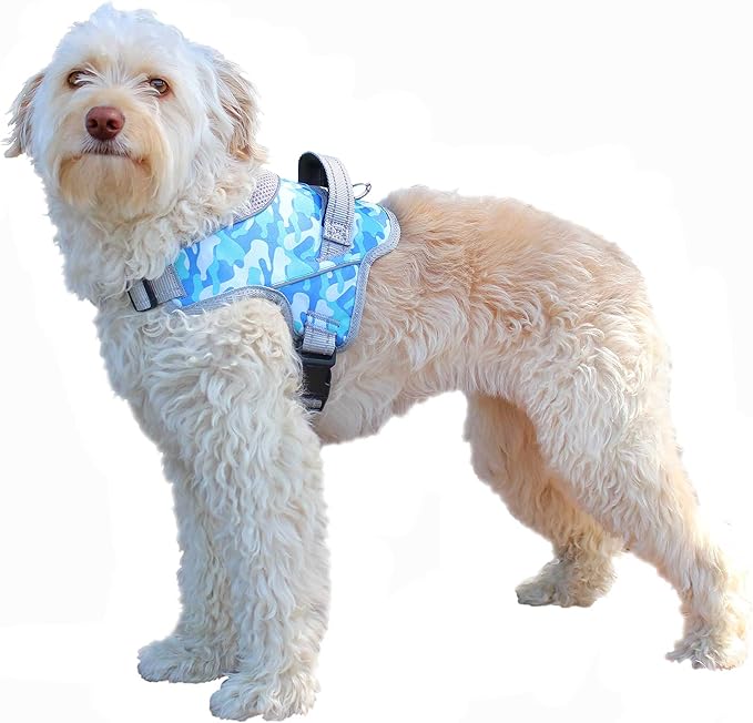 Walkin’ Warrior No Pull Dog Harness, Adjustable Straps for Custom Fit, Compatible with Dog Wheelchair, Breathable Mesh Lining for Comfort