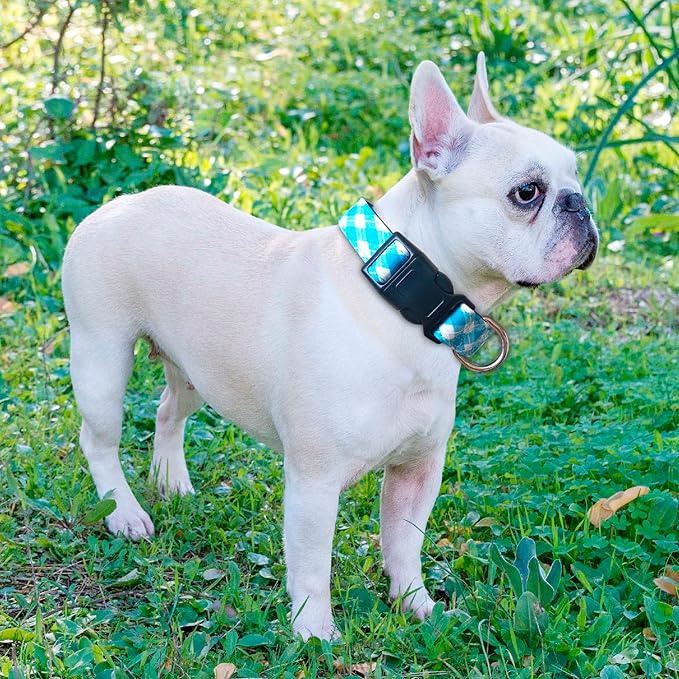 Reflective Dog Collar Padded with Soft Neoprene Breathable Adjustable Nylon Dog Collars for Small Medium Large Dogs (Medium (Pack of 1), Vivid Blue Plaid Collar+Leash)