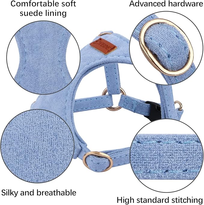 CHEDE No Pull Puppy Harness and Multifunction Dog Leash Set- 8 Colors Soft Adjustable No Choke Escape Proof Cute,Lightweight Pet Vest Harness for Small and Medium Dog (XXS, Blue)