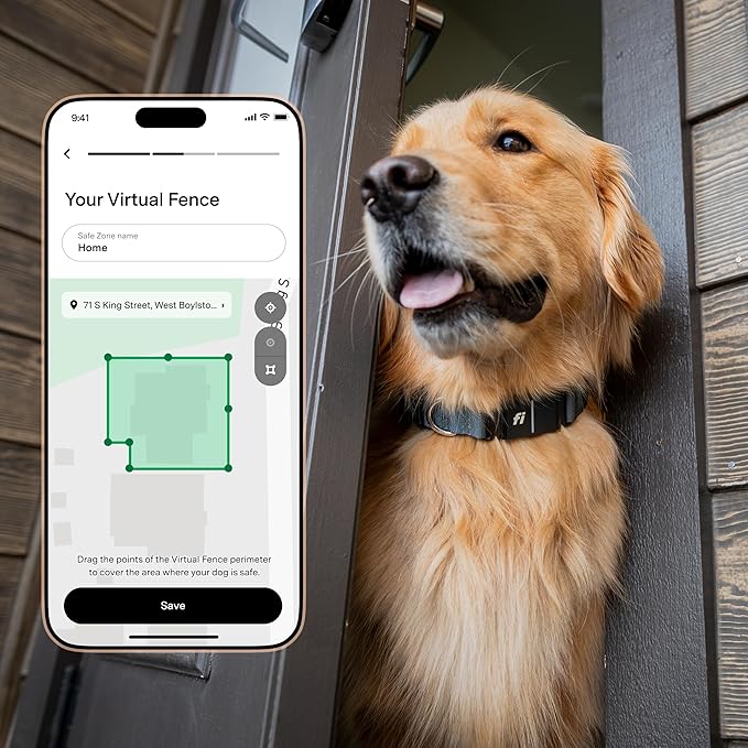 New Fi Series 3+ Smart Dog Collar - GPS Dog Tracker and Activity & New Fitness Monitor, Waterproof, LED Light, Escape Alerts, Nationwide Coverage [Free 6 Month Membership] (Gray, Small)