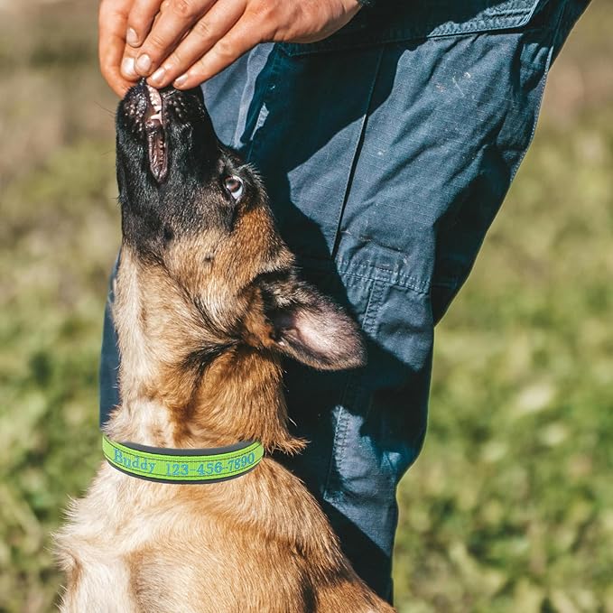 Nylon Personalized Dog Collar with Embroidered Name & Phone, Customizable, Reflective Strip, Soft Neoprene Lining, Durable Metal Buckle - Matching Leash Available